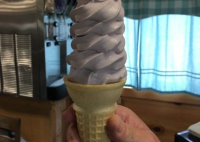 photo of vanilla ice cream